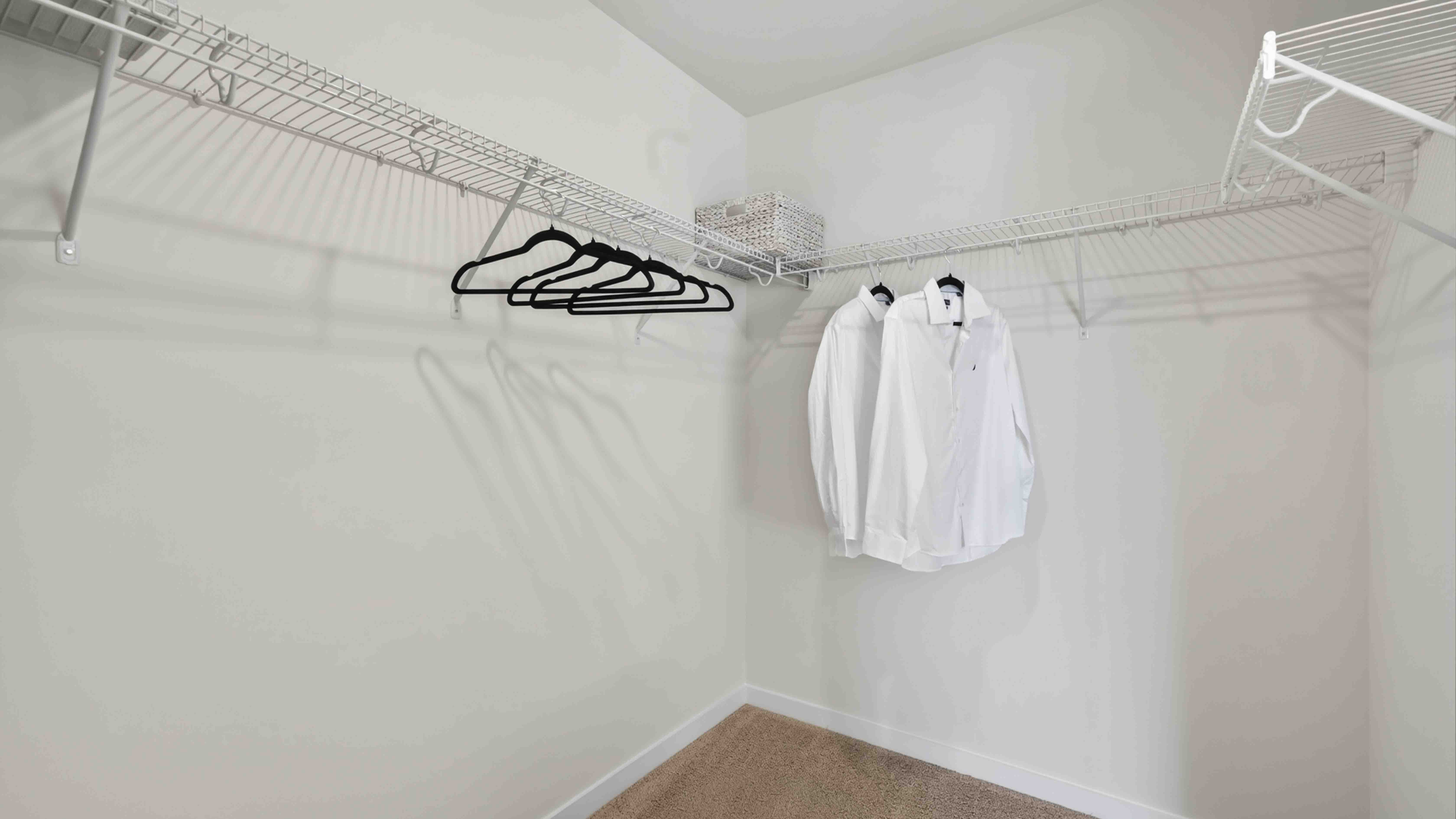 Primary carpeted walk in closet