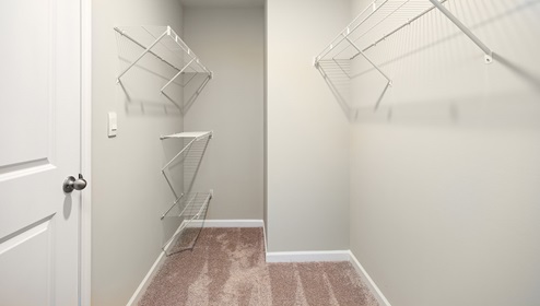 Model primary carpeted walk in closet