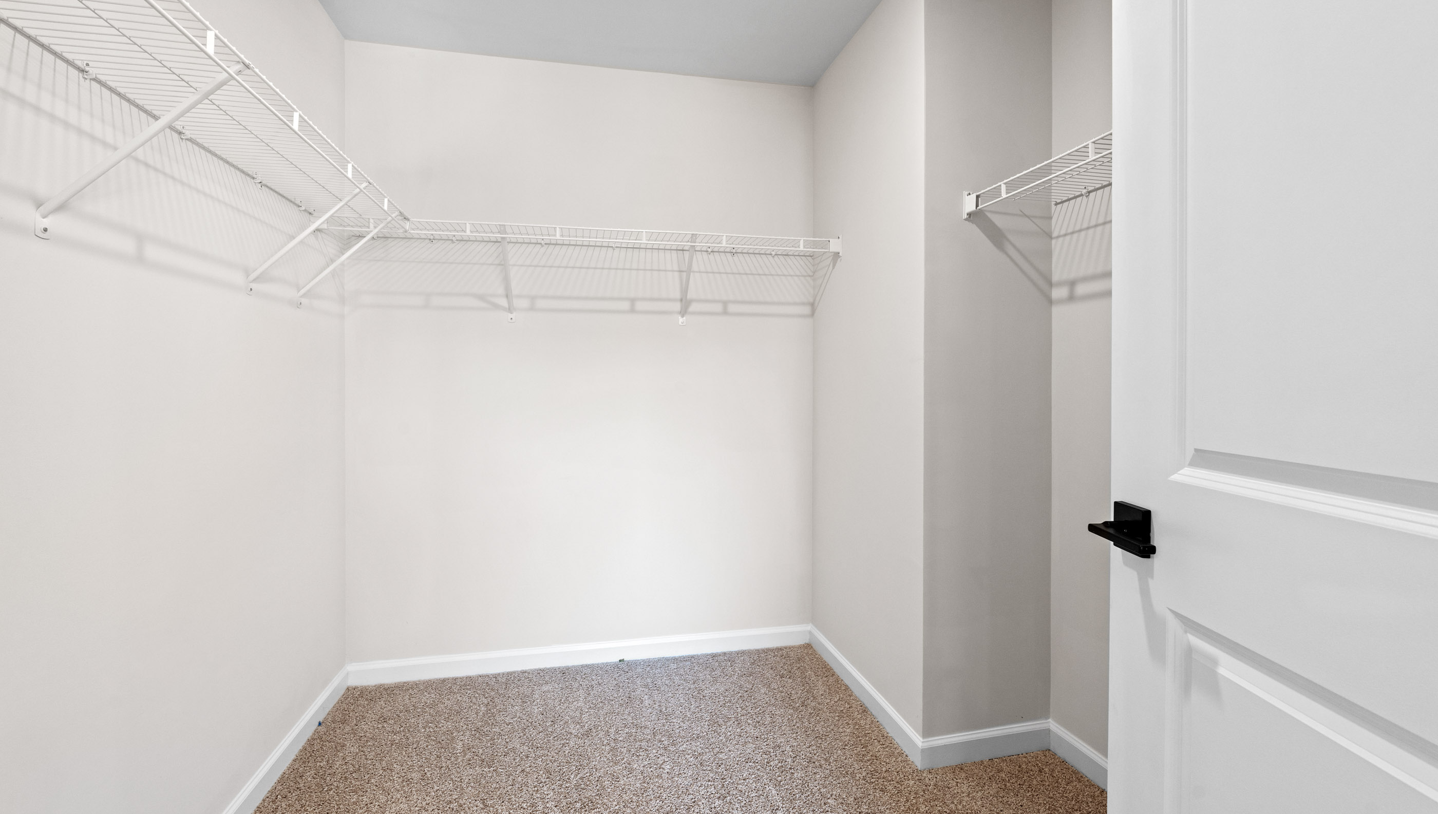 Primary bedroom walk in closet, carpeted