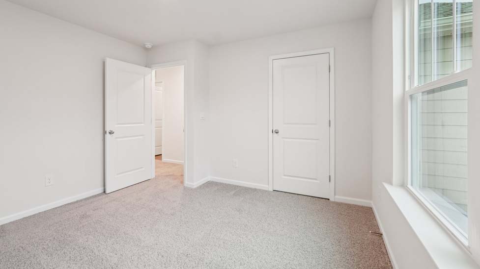 Primary bedroom with carpet and two large windows