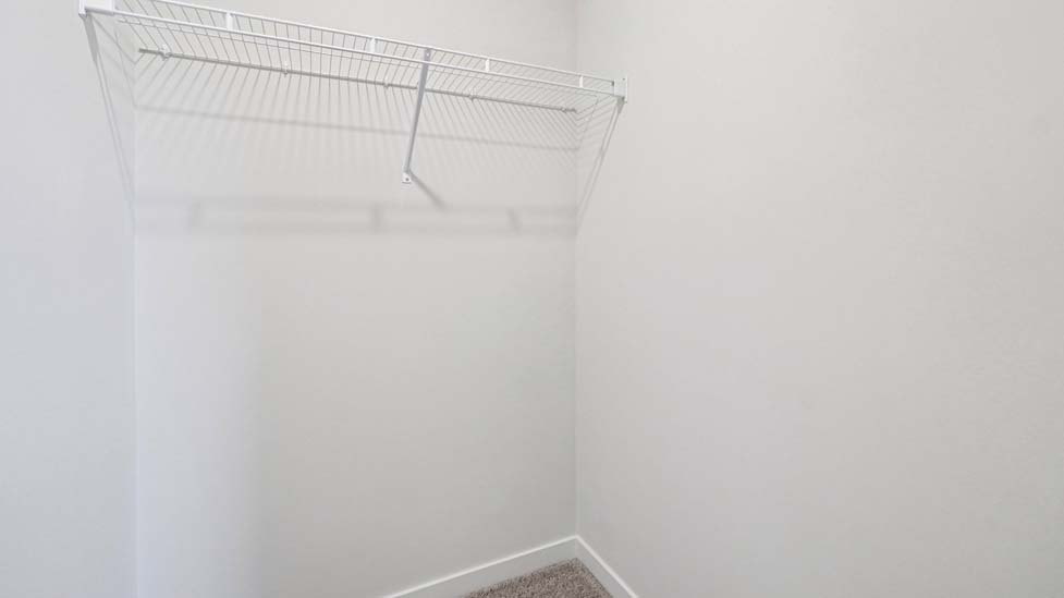 carpeted walk in closet