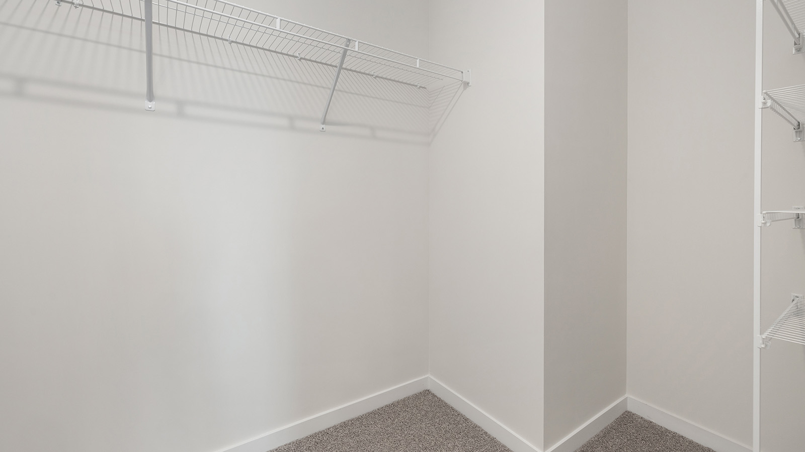 Model primary carpeted bedroom with large window