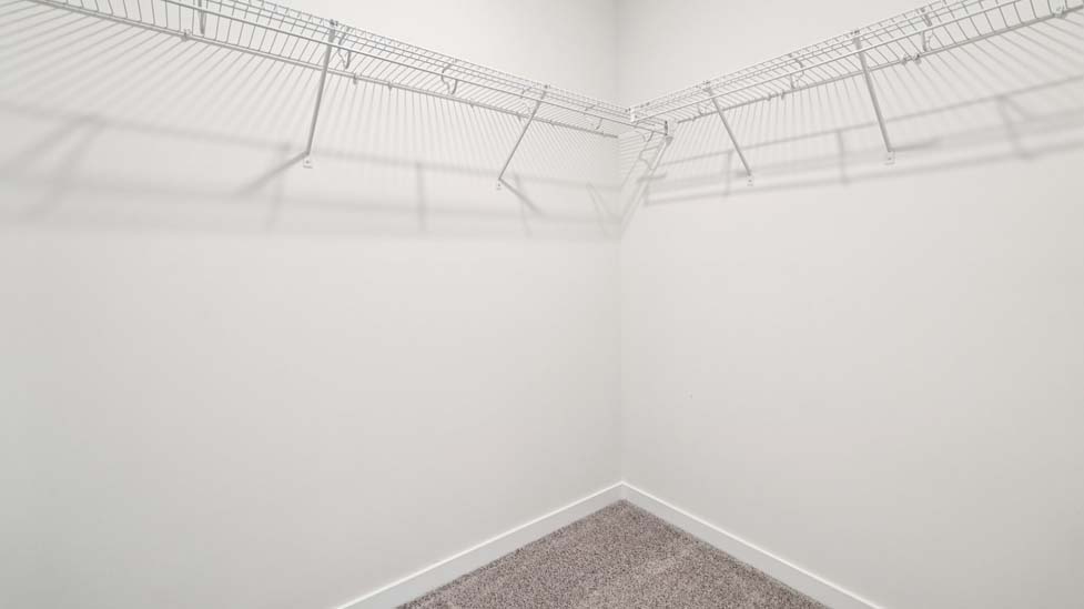 Primary walk in closet, wood floors