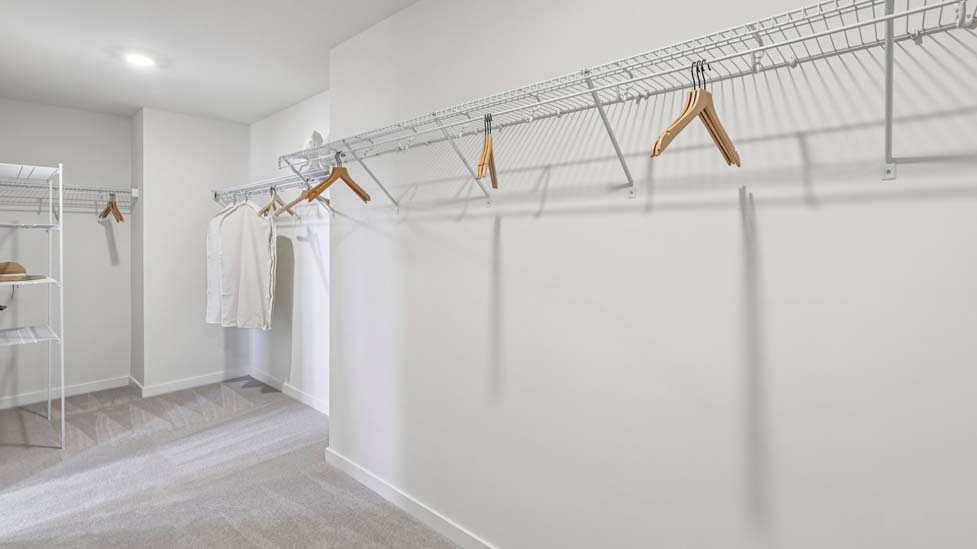 Primary bedroom walk in closet with carpeting