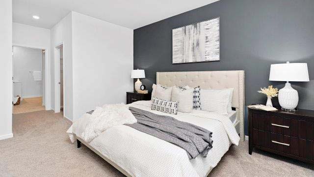 Carpeted primary bedroom with large window and ceiling fan. New Home in Charlotte, North Carolina