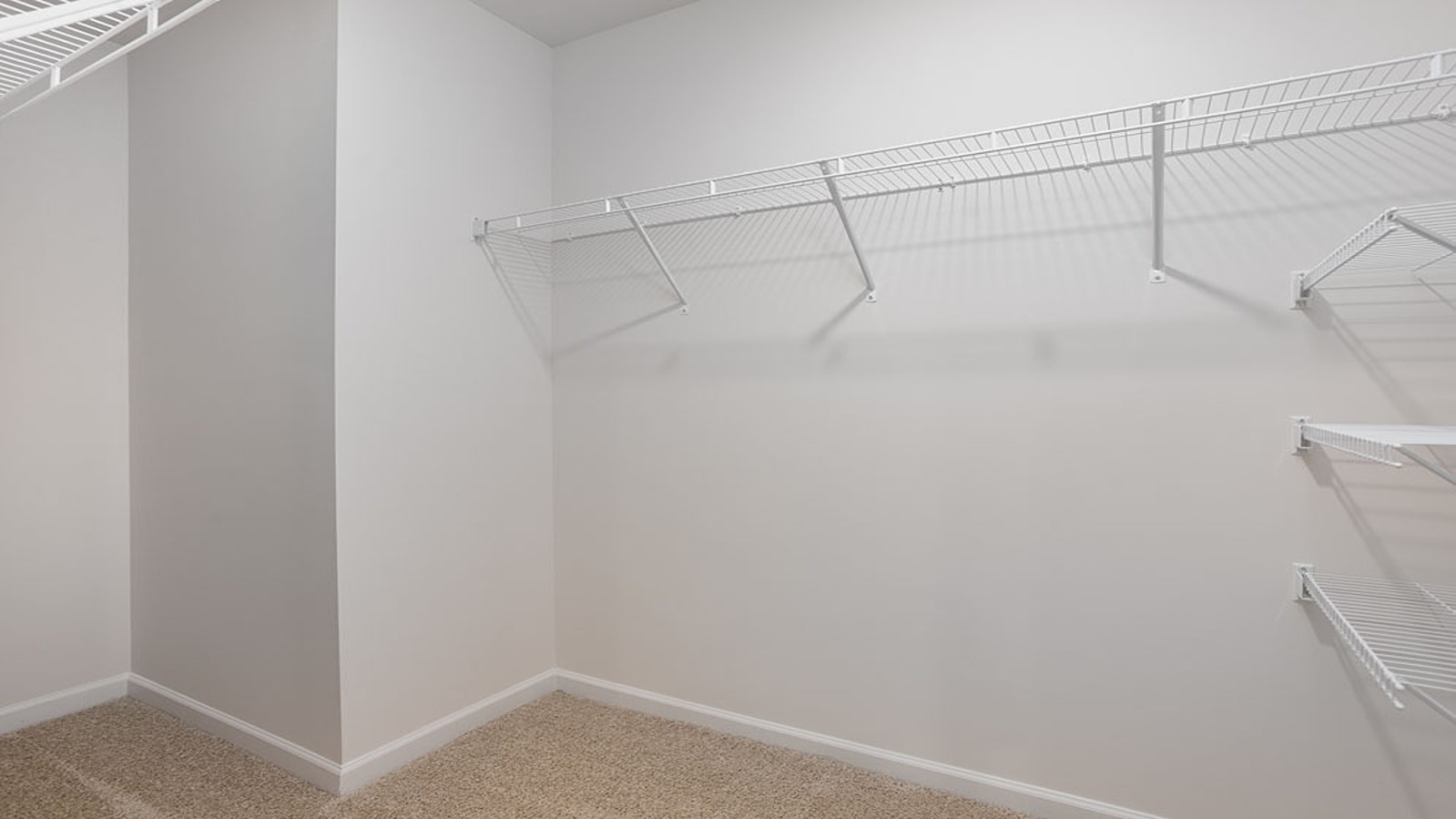 main walk-in closet