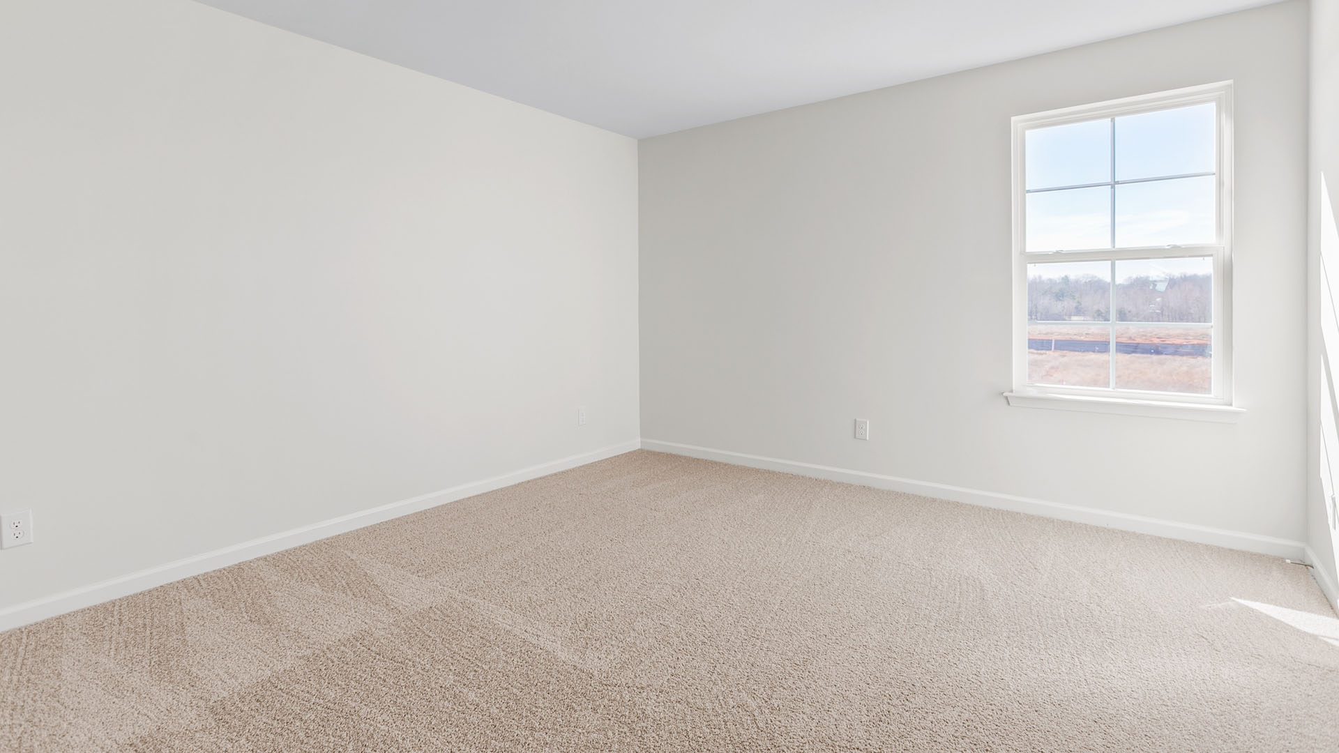 secondary bedroom with carpet