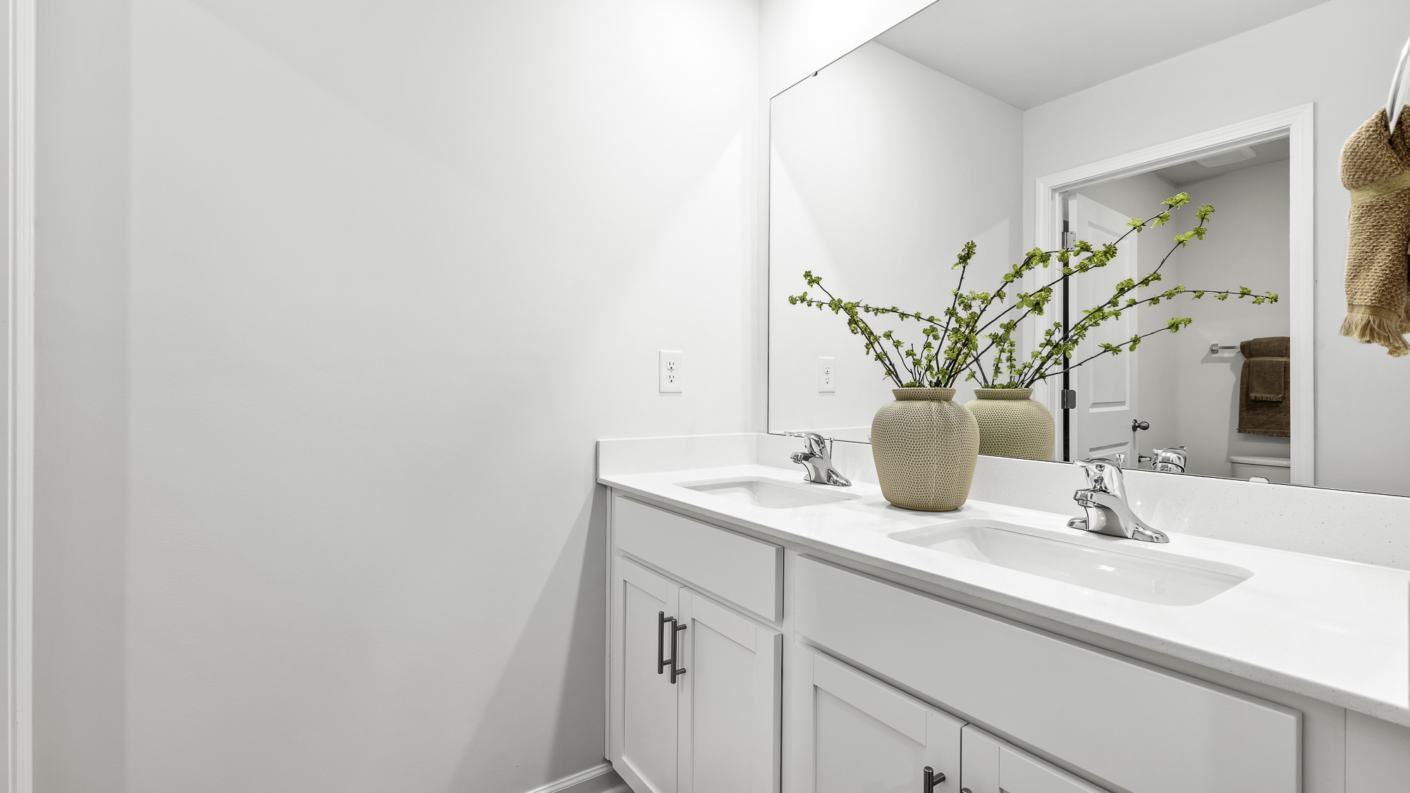 dual sinks