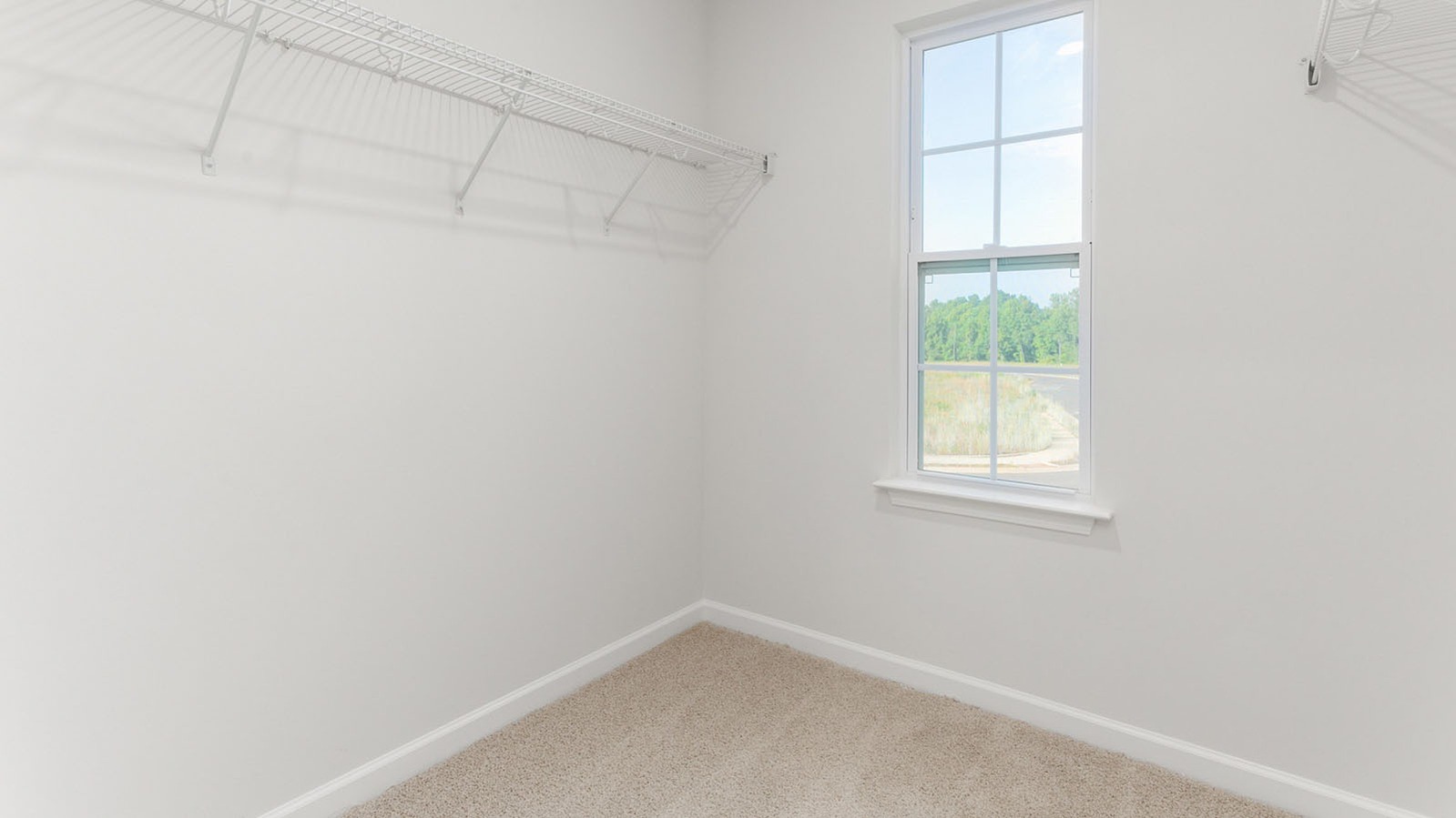 primary walk-in closet