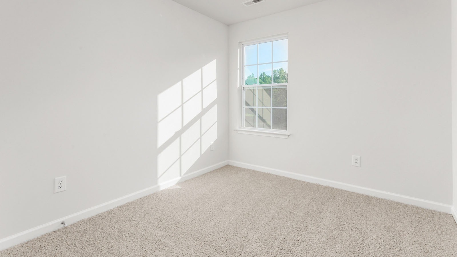 inside third bedroom with carpet flooring and window view