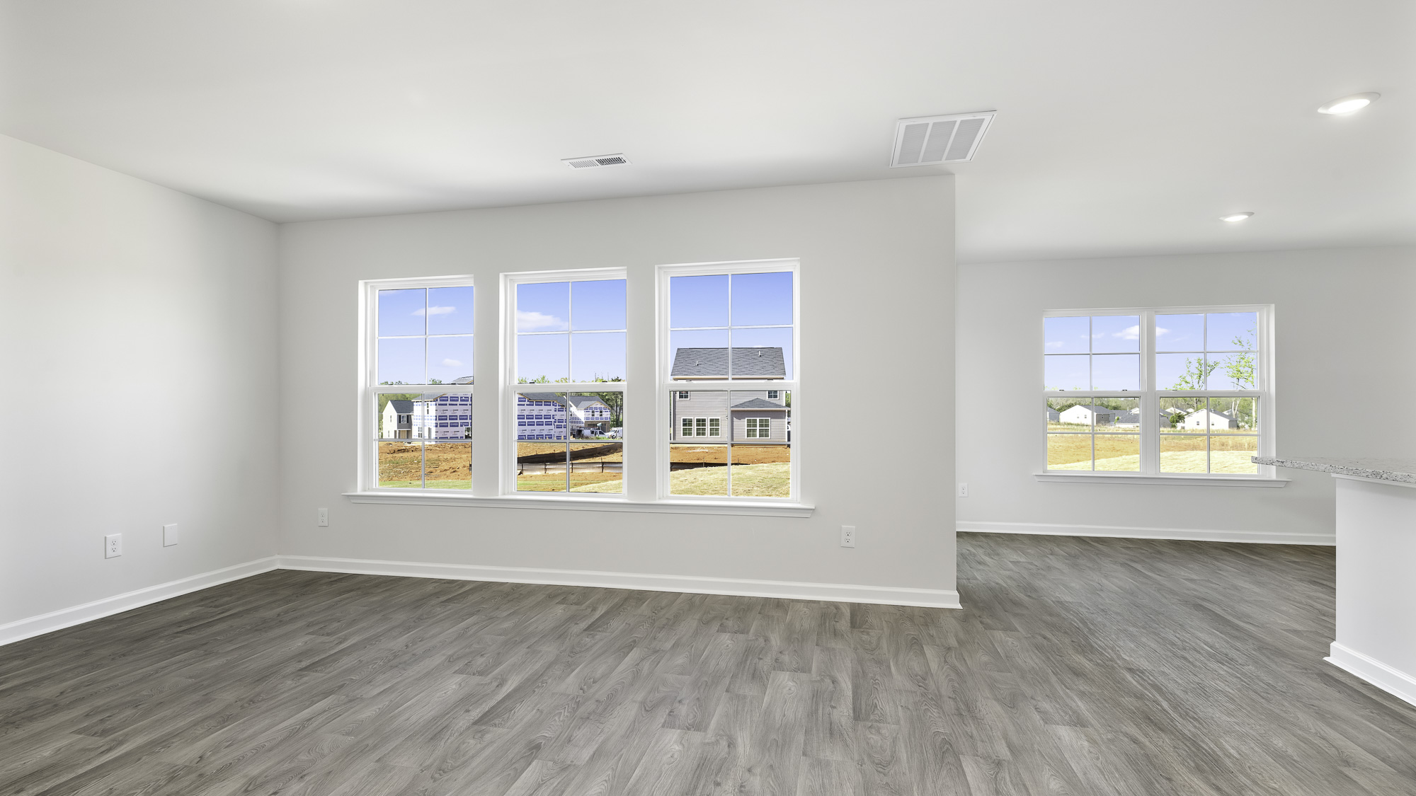 living room windows