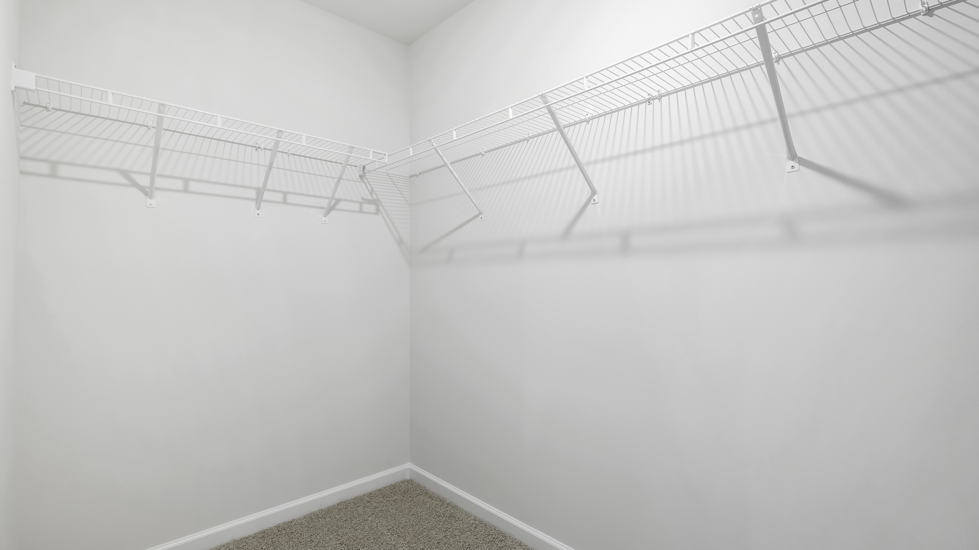 closet with wireshelving