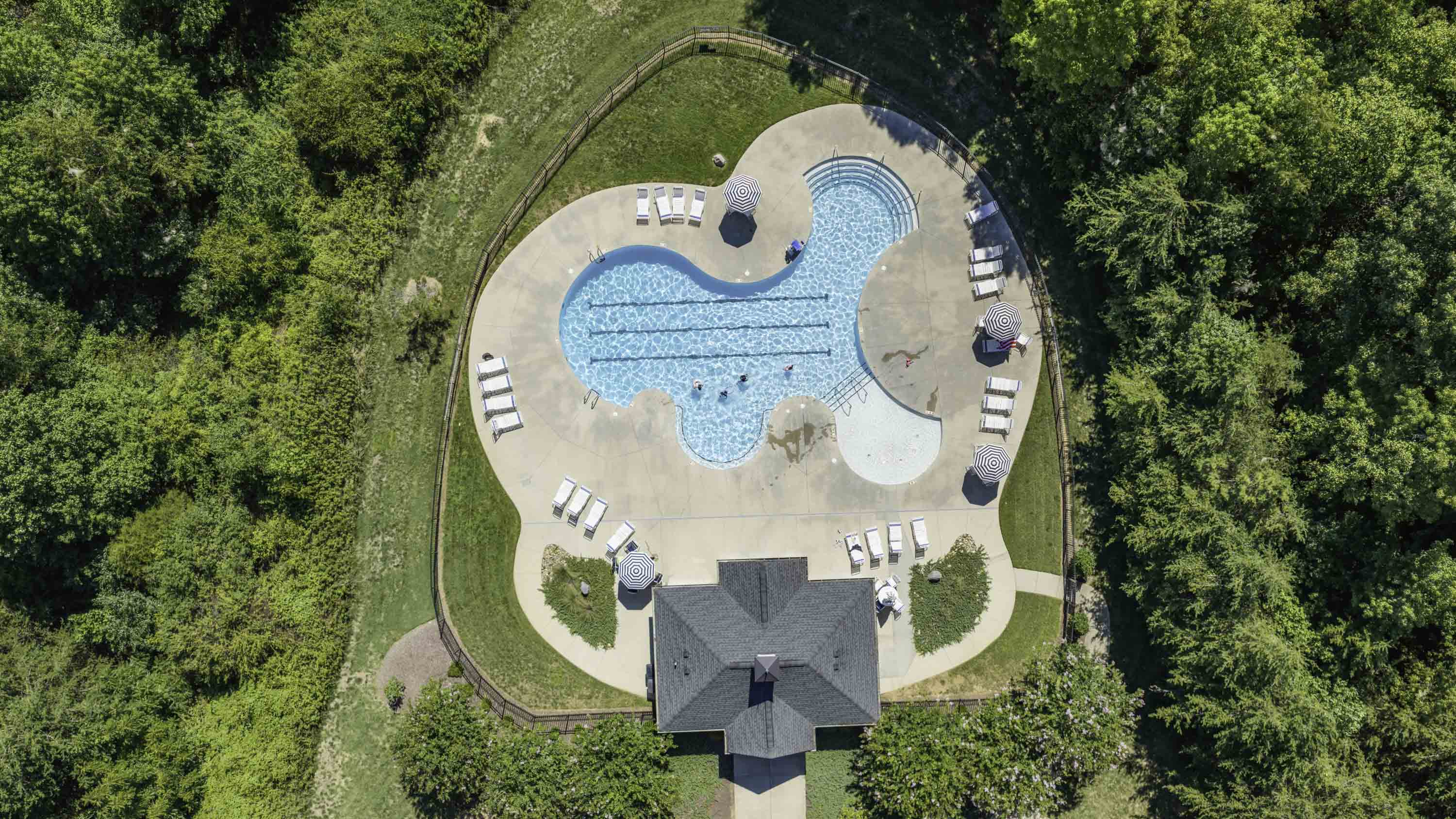 pool and greenery