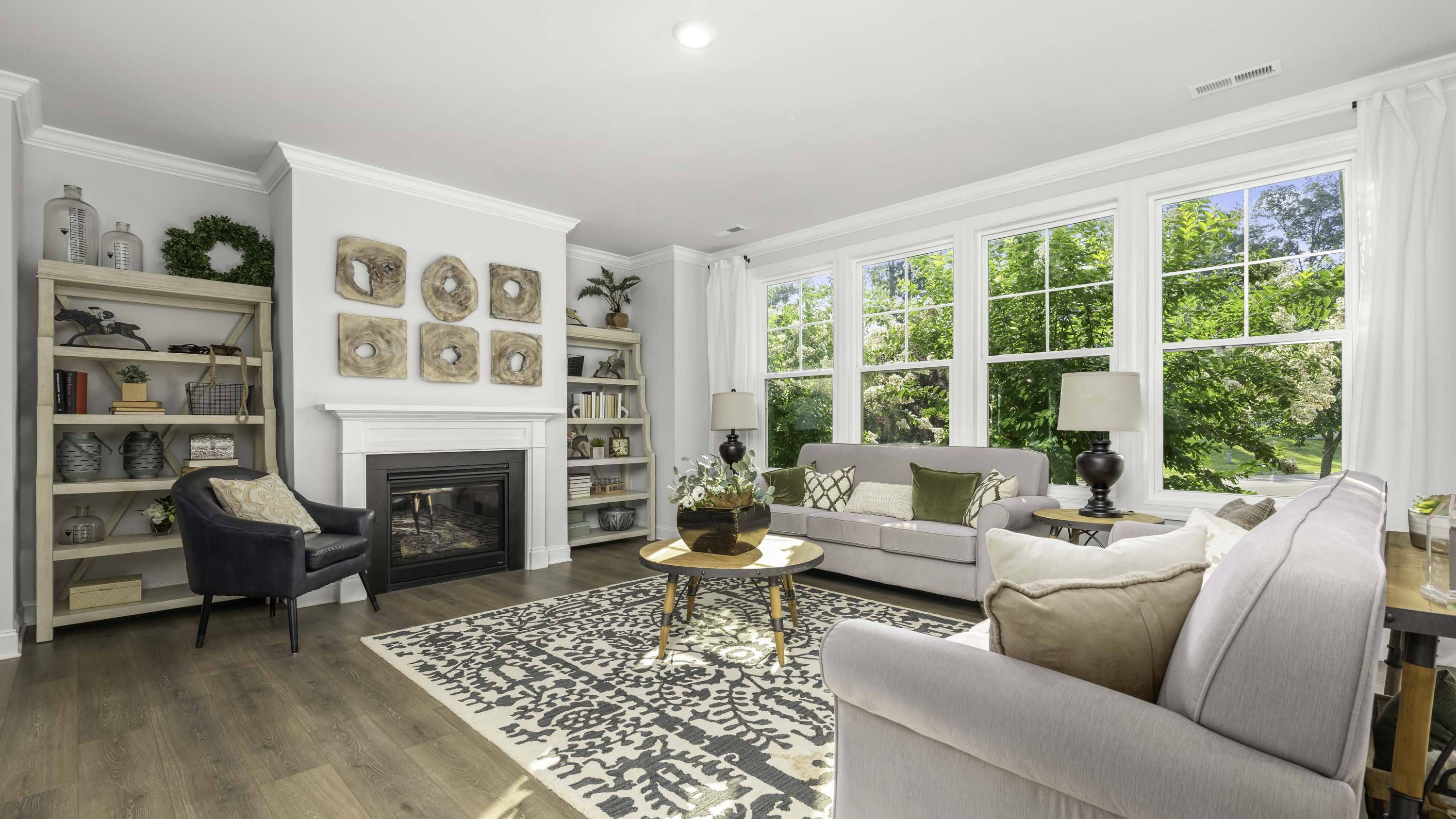 living room windows