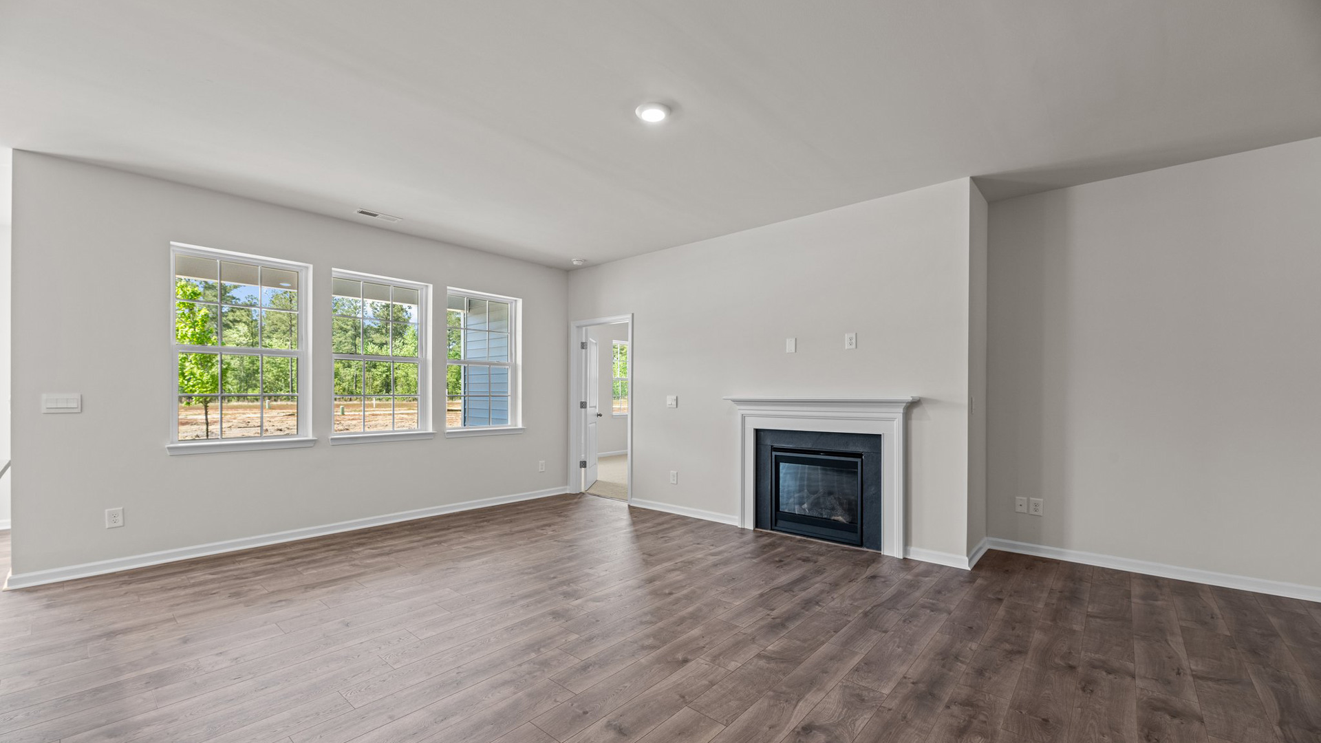 living room windows