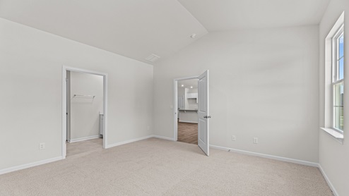 bedroom with carpet and ample light