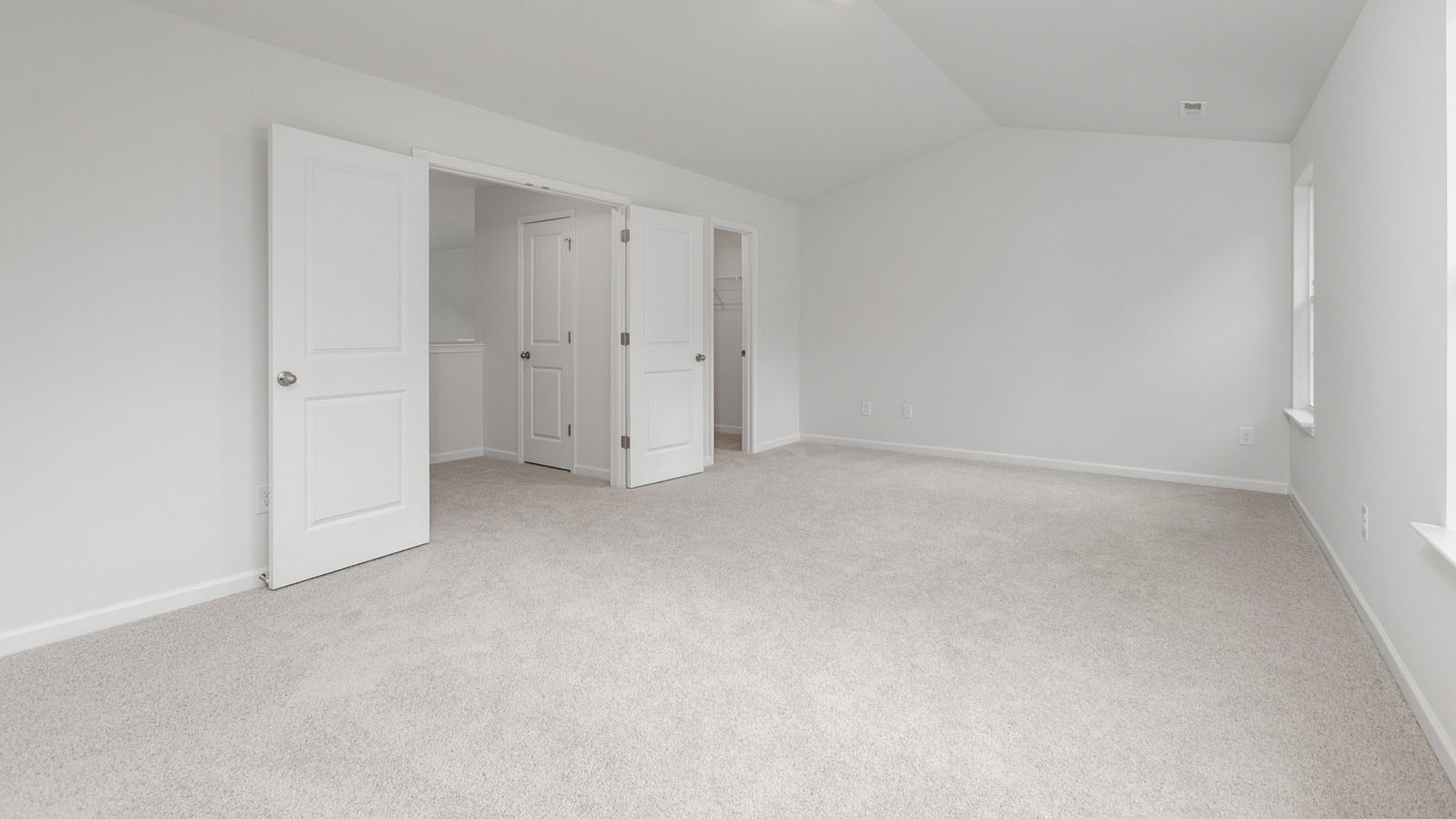 media room with carpet