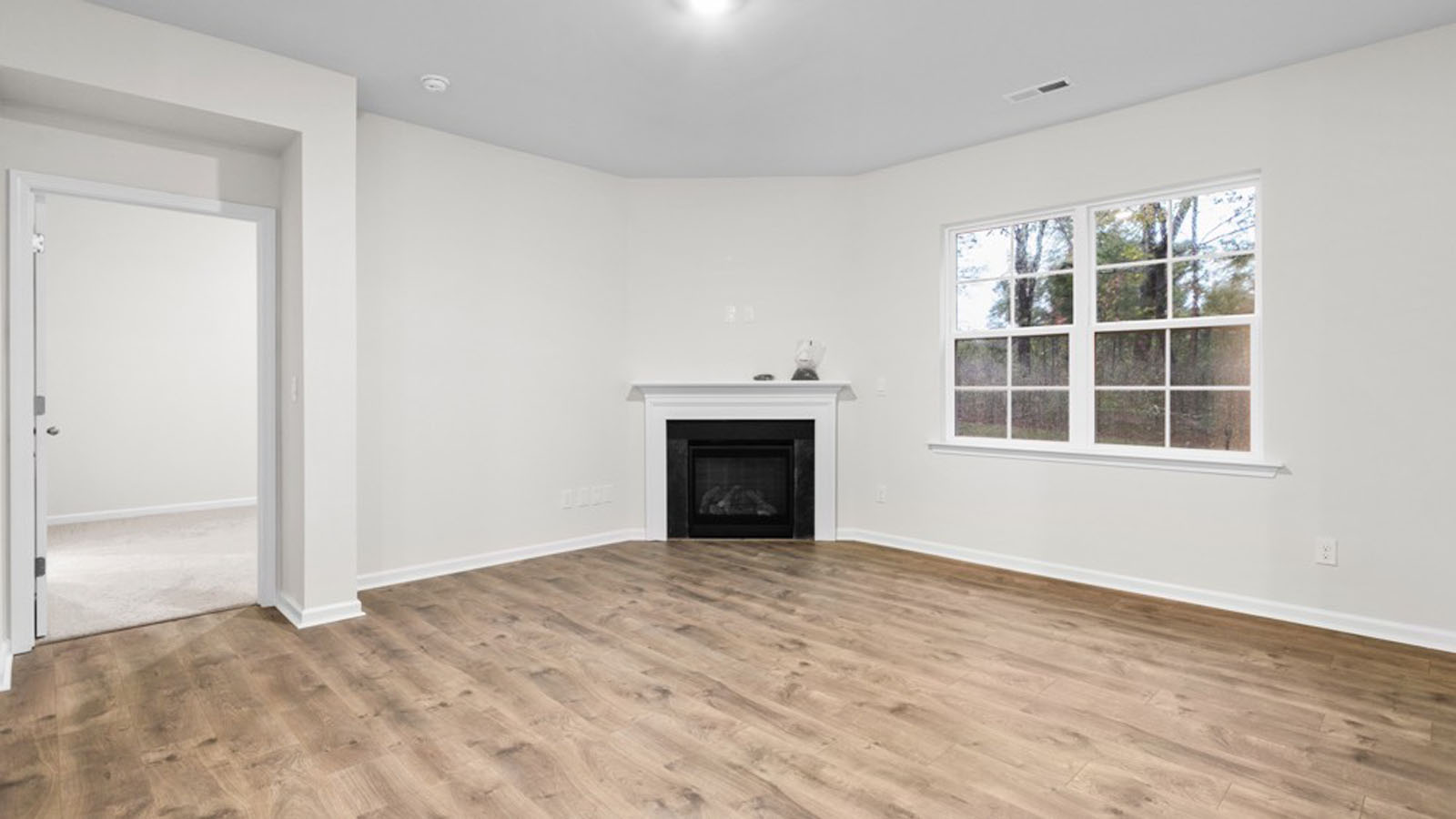 additional view of gas fireplace