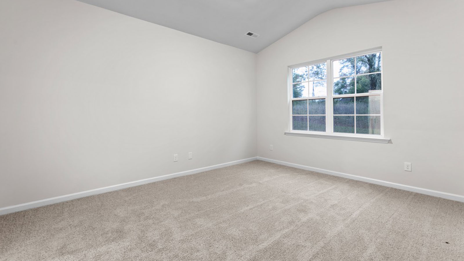 primary bedroom with carpet flooring