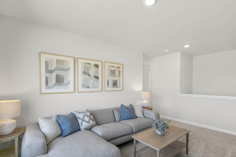 Loft with caret and natural light