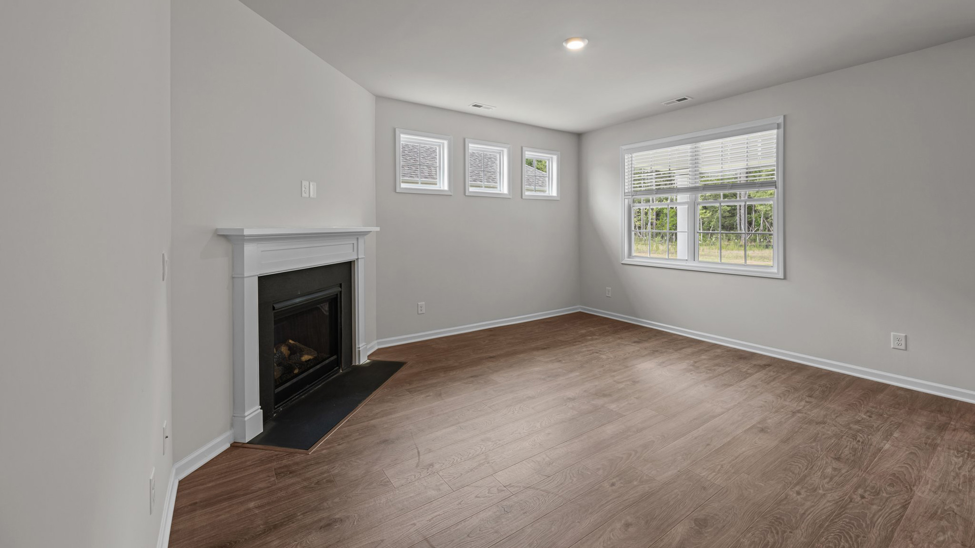Living room with fireplace