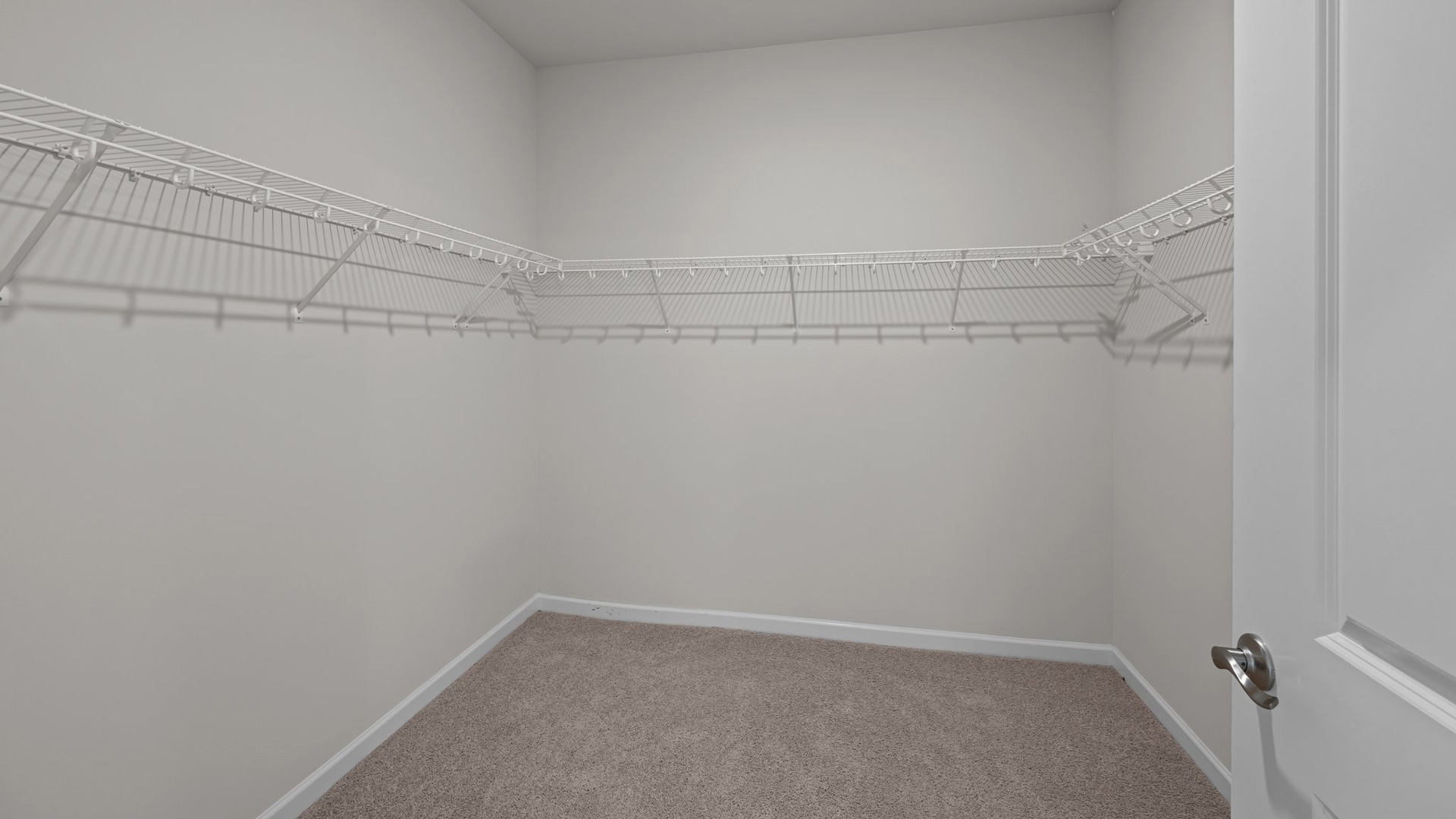 Primaryr Closet with carpet