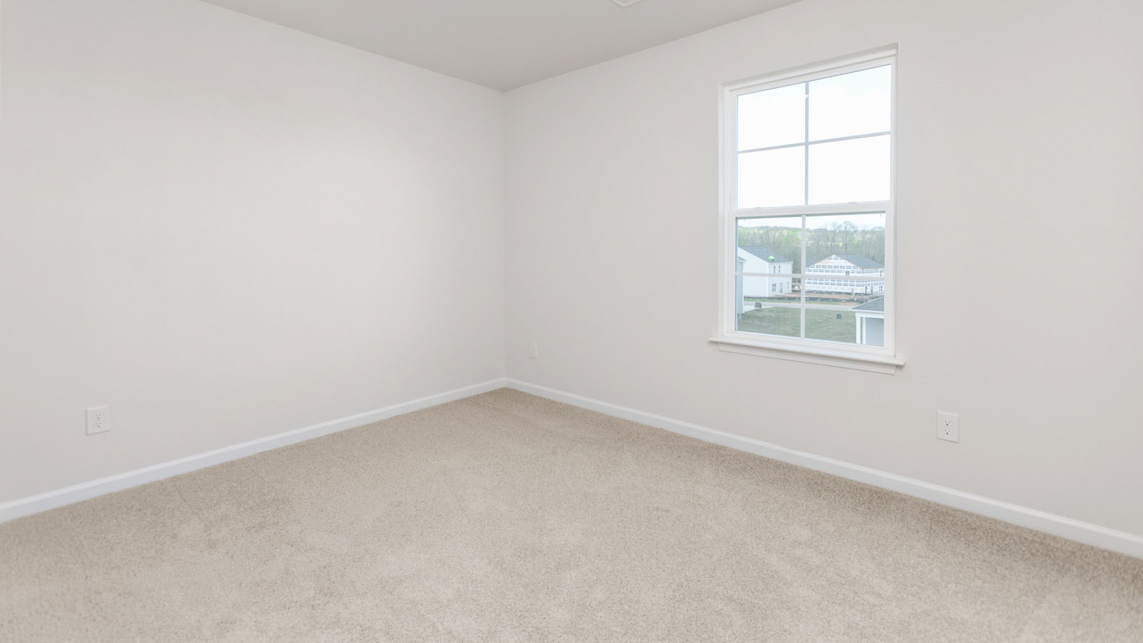 secondary bathroom with carpet