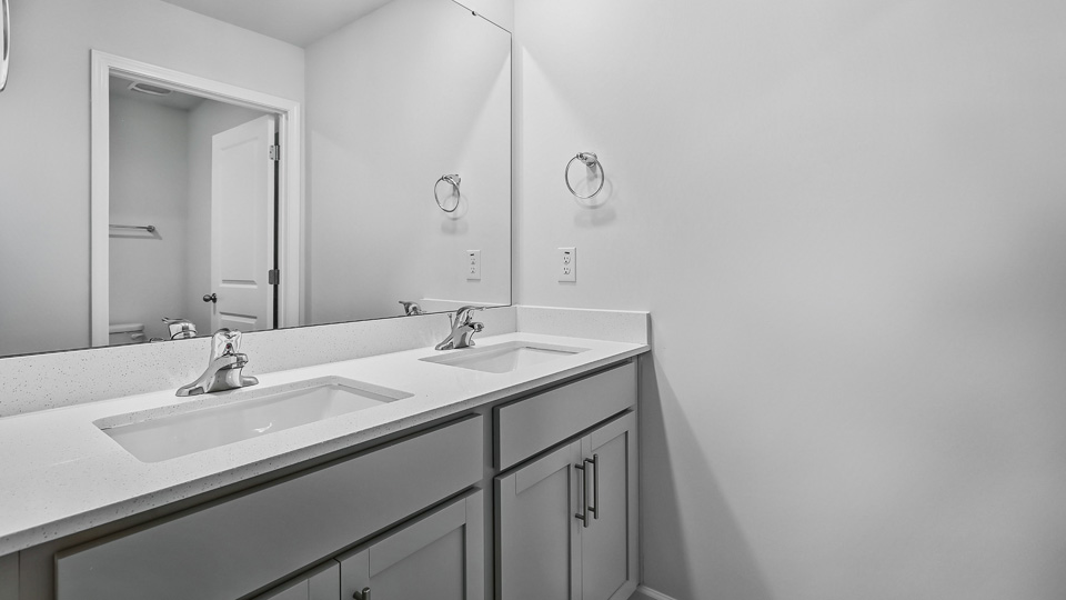 bathroom with dual sinks