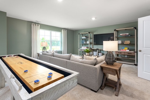 bonus room with French doors and carpet
