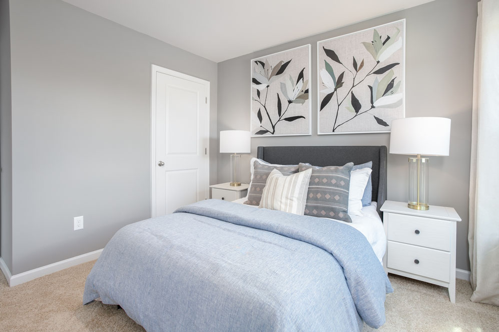 secondary bedroom with carpet and closet