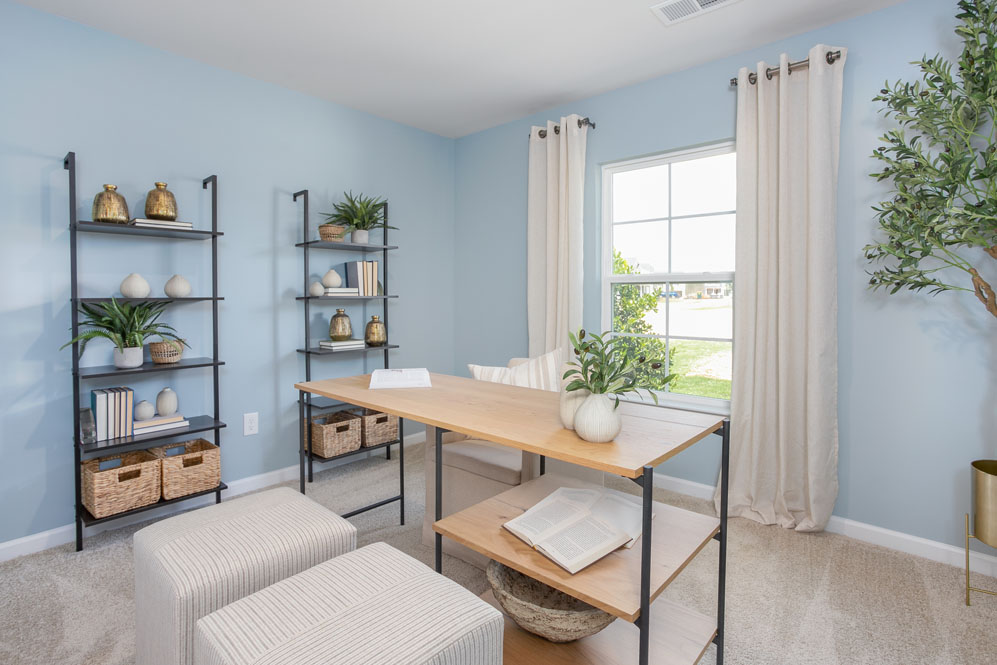 secondary with carpet and window