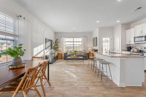 DIning room and kitchen overview