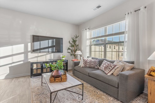 living room with natural lighting