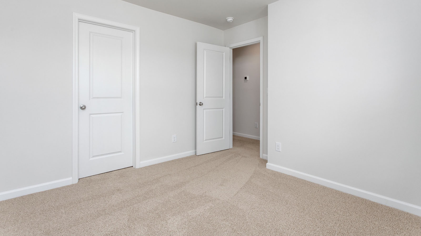 secondary bedroom with closet and carpet