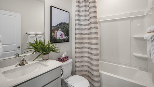 Tub SHower combo