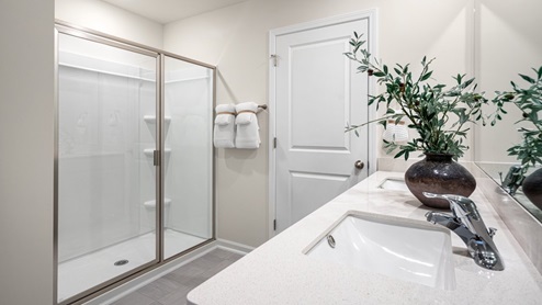 Primary shower