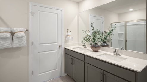 dual sinks