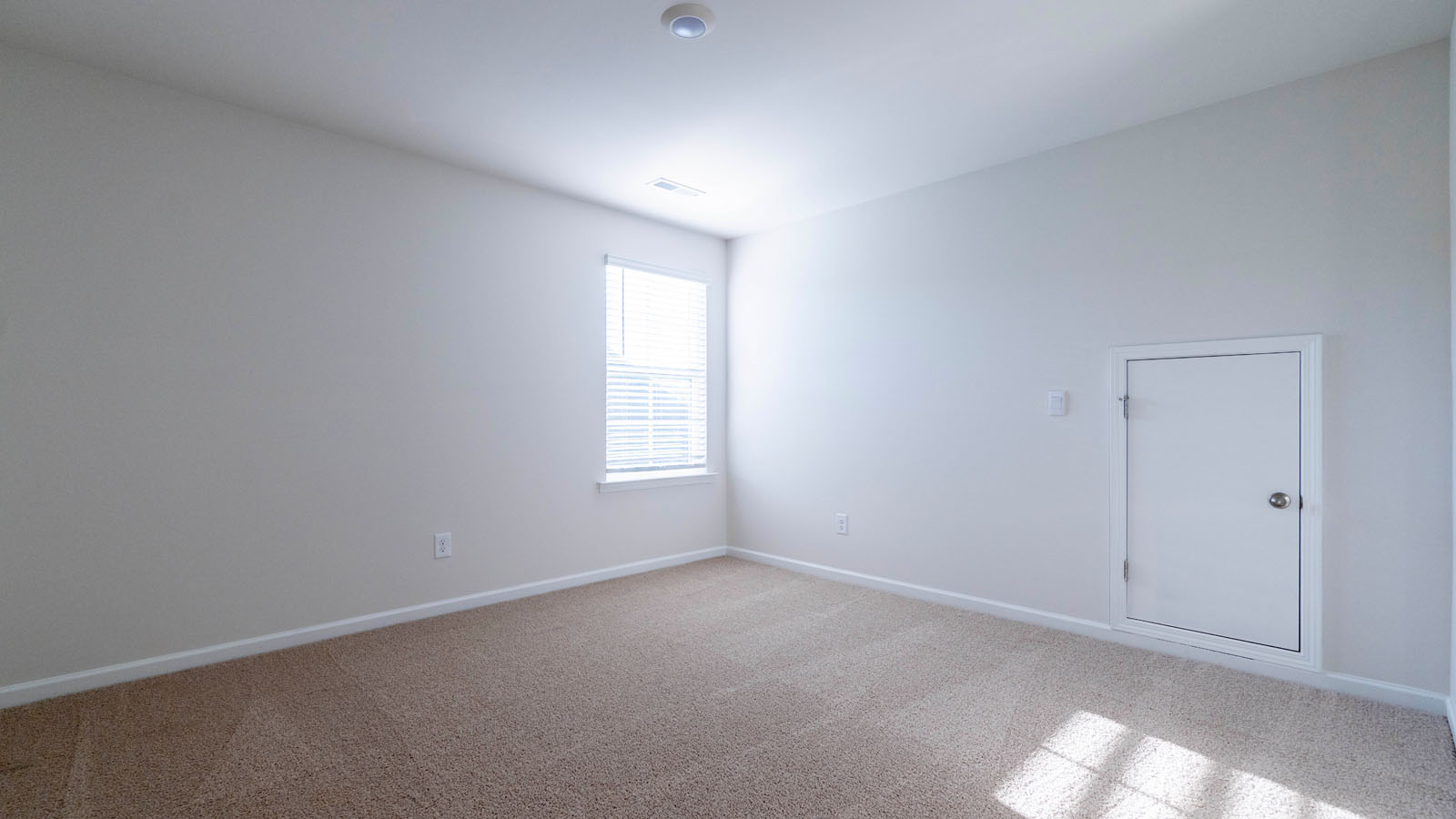 bedroom with carpet