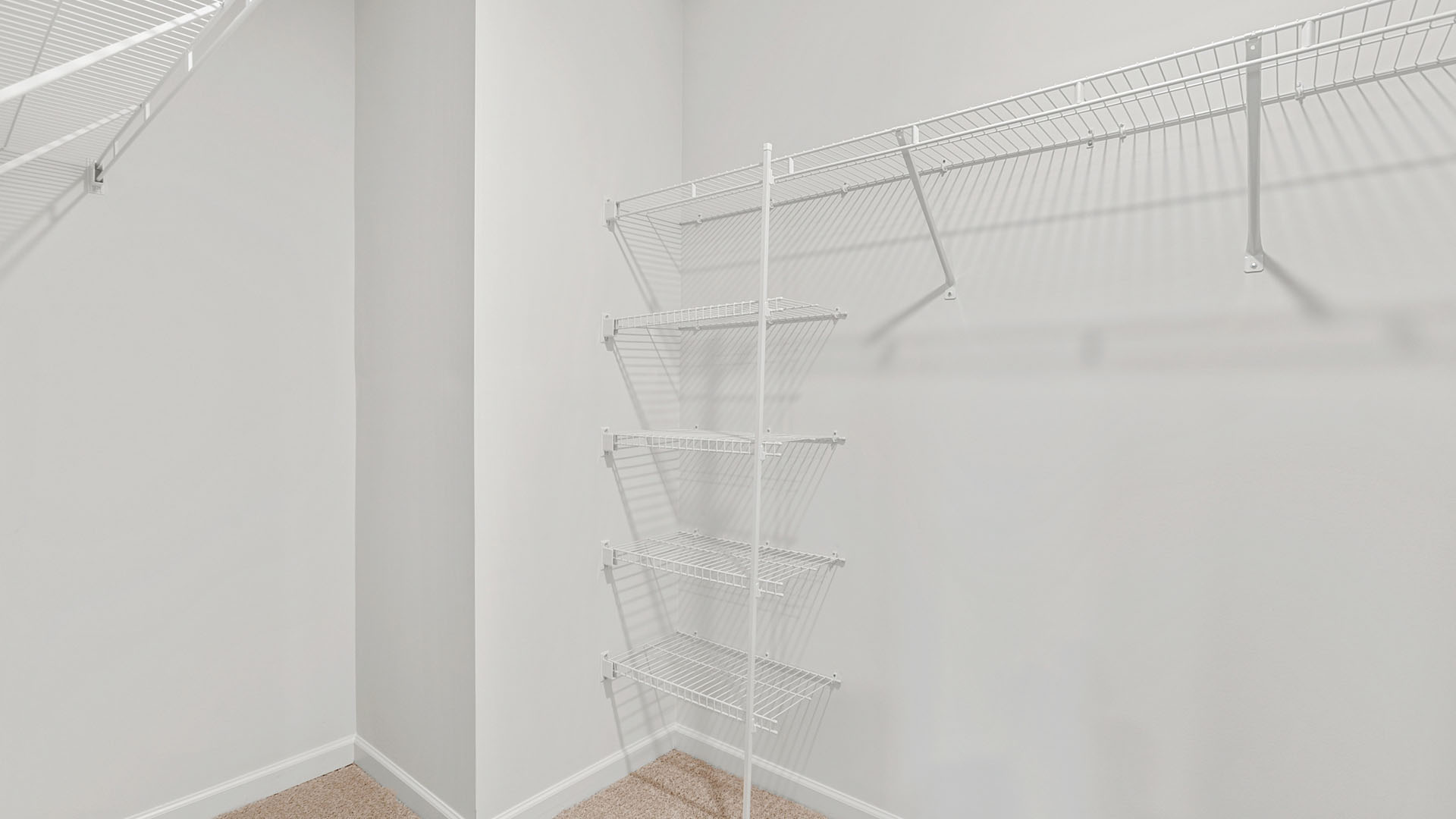 closet with wireshelving