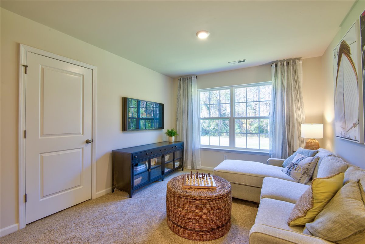 loft with carpet and natural light