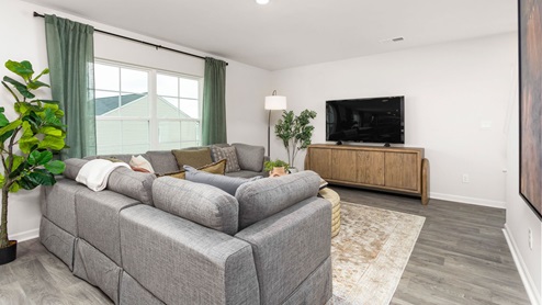 Living area with vinyl flooring, plenty of light