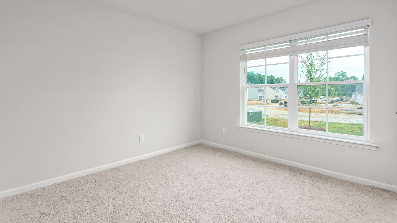 bedroom with 2 windows