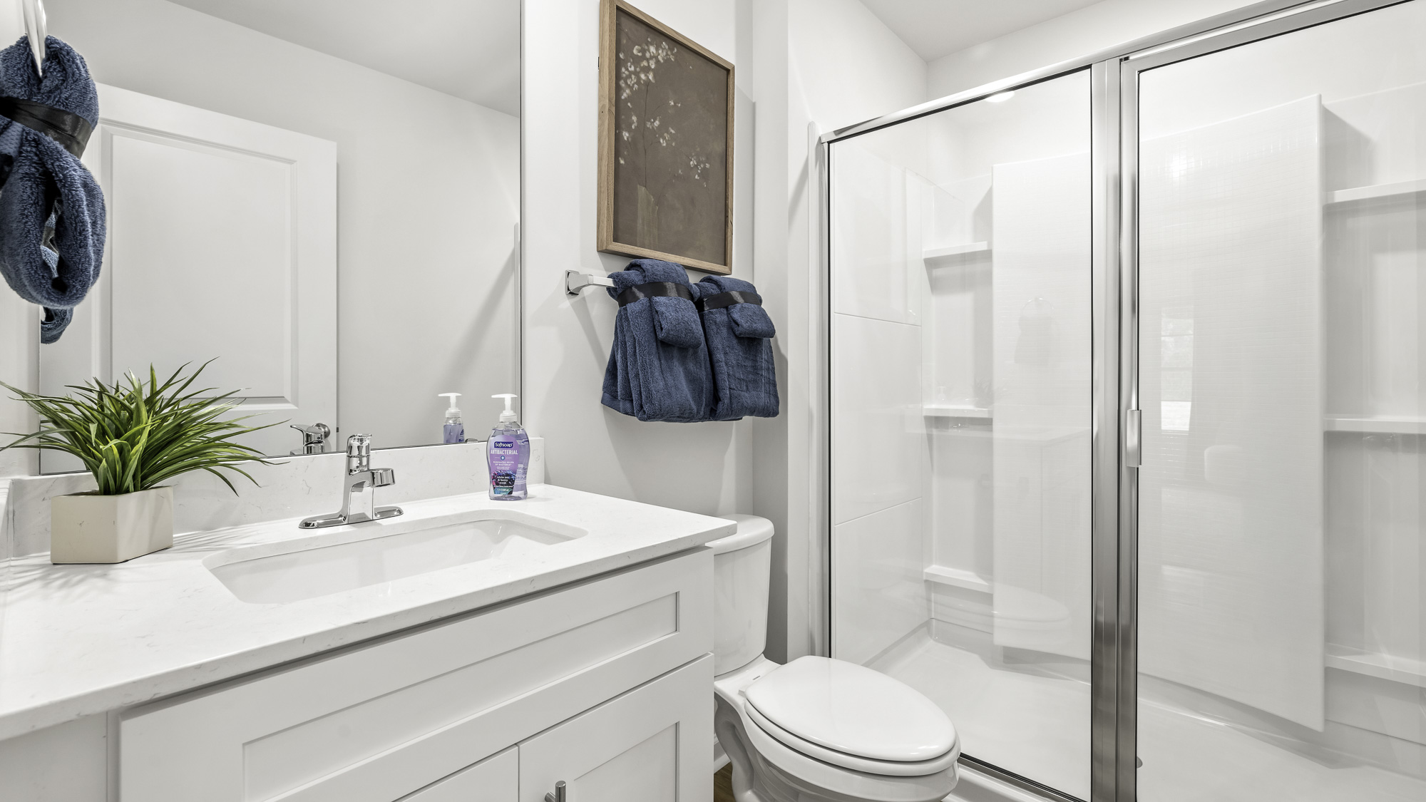 bathroom with a walk in shower