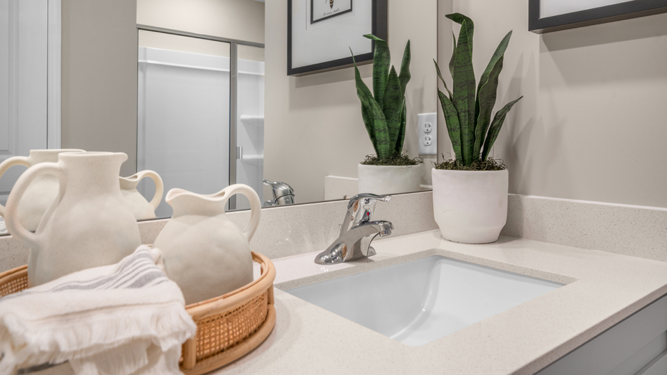 main bathroom sink
