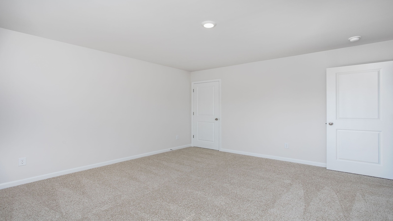 secondary bedroom with carpet
