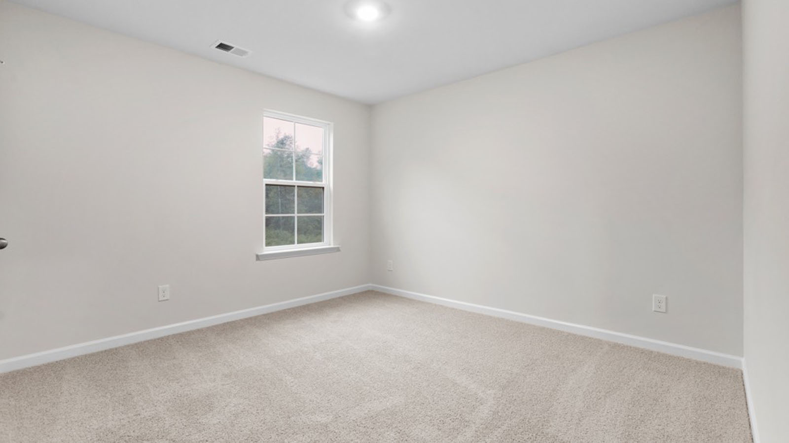 secondary bedroom with carpet and window