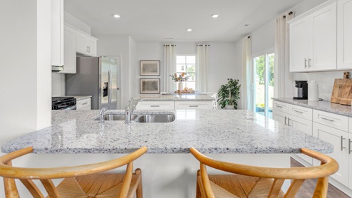 Kitchen with revwood flooring, stainless steel appliances and