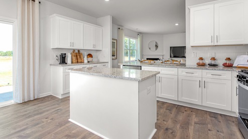 Kitchen with revwood flooring, stainless steel appliances and