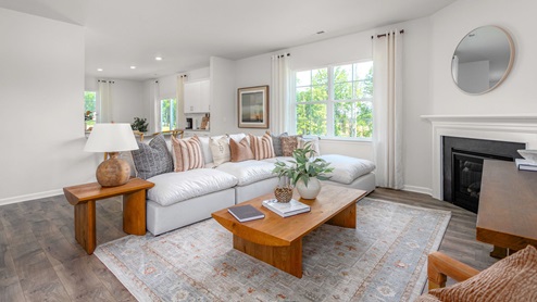 living room with revwood floors and natural light