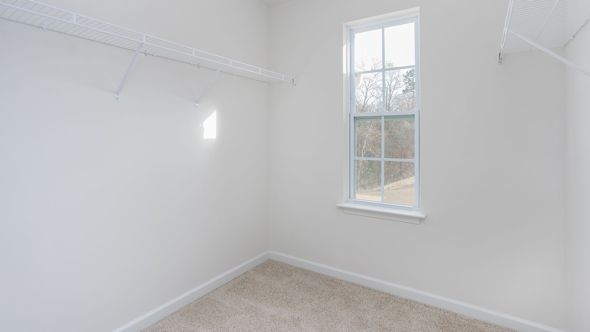 Walk-in storage space featuring neutral carpeting, white wall finishes, multi-pane window, and installed wire shelving